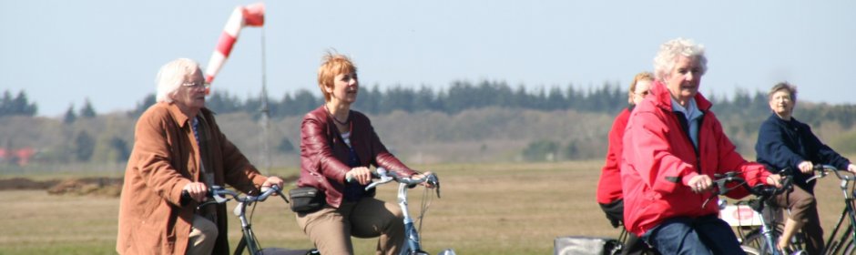 Fietsers Large